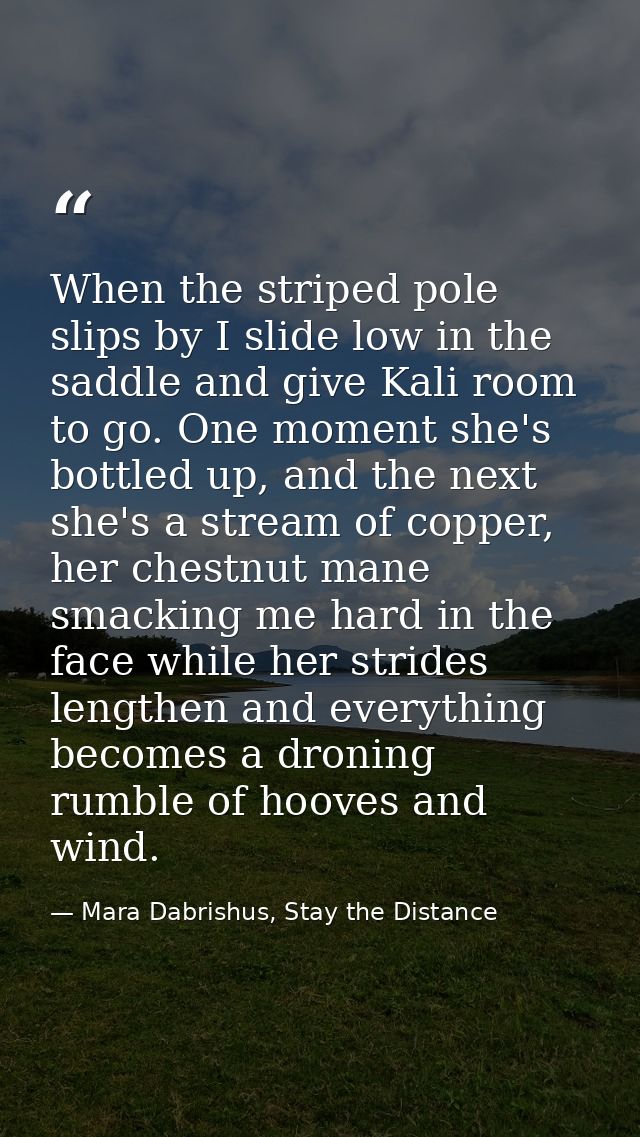 When the striped pole slips by I slide low in the saddle and give Kali room to go. One moment she's bottled up, and the  — Mara Dabrishus, Stay the Distance