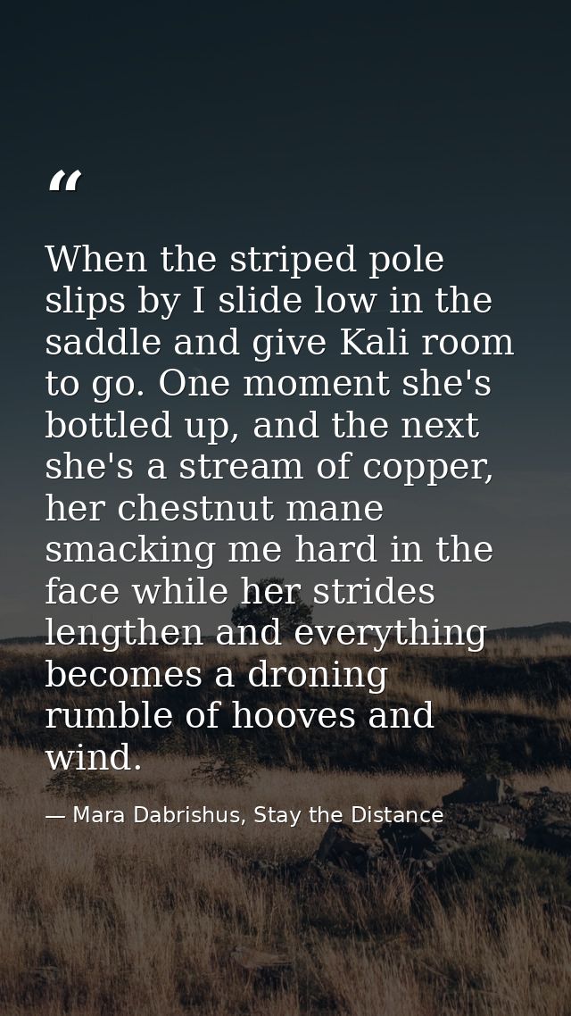 When the striped pole slips by I slide low in the saddle and give Kali room to go. One moment she's bottled up, and the  — Mara Dabrishus, Stay the Distance