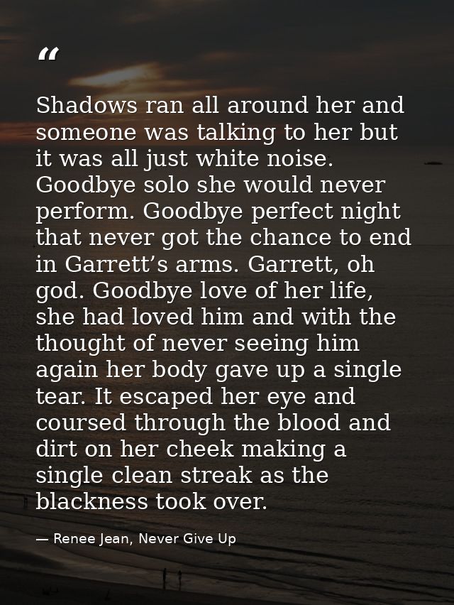 Shadows ran all around her and someone was talking to her but it was all just white noise. Goodbye solo she would never  — Renee Jean, Never Give Up