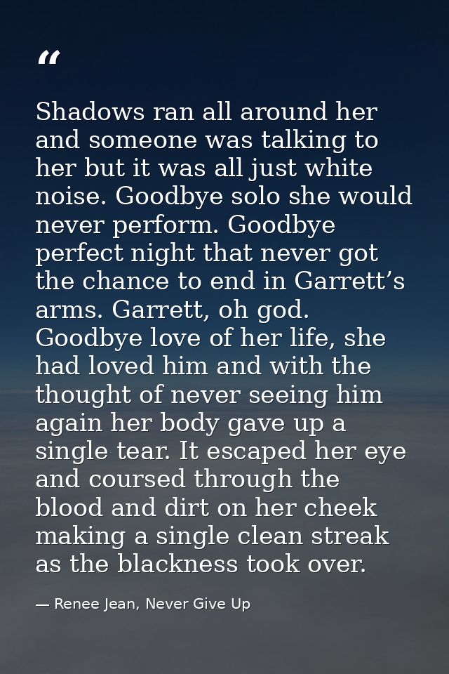 Shadows ran all around her and someone was talking to her but it was all just white noise. Goodbye solo she would never  — Renee Jean, Never Give Up