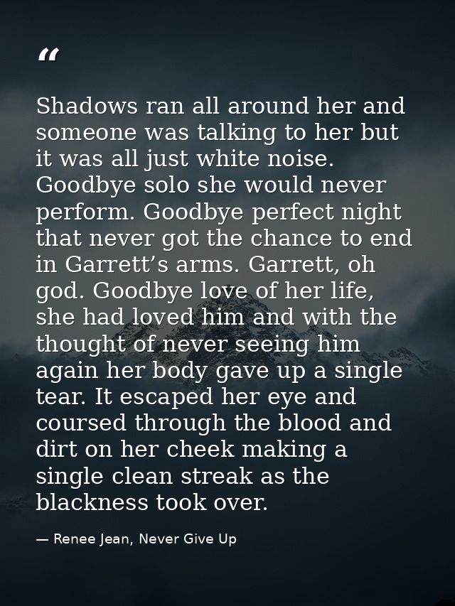 Shadows ran all around her and someone was talking to her but it was all just white noise. Goodbye solo she would never  — Renee Jean, Never Give Up
