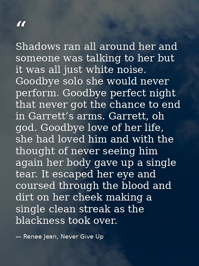 Shadows ran all around her and someone was talking to her but it was all just white noise. Goodbye solo she would never  — Renee Jean, Never Give Up