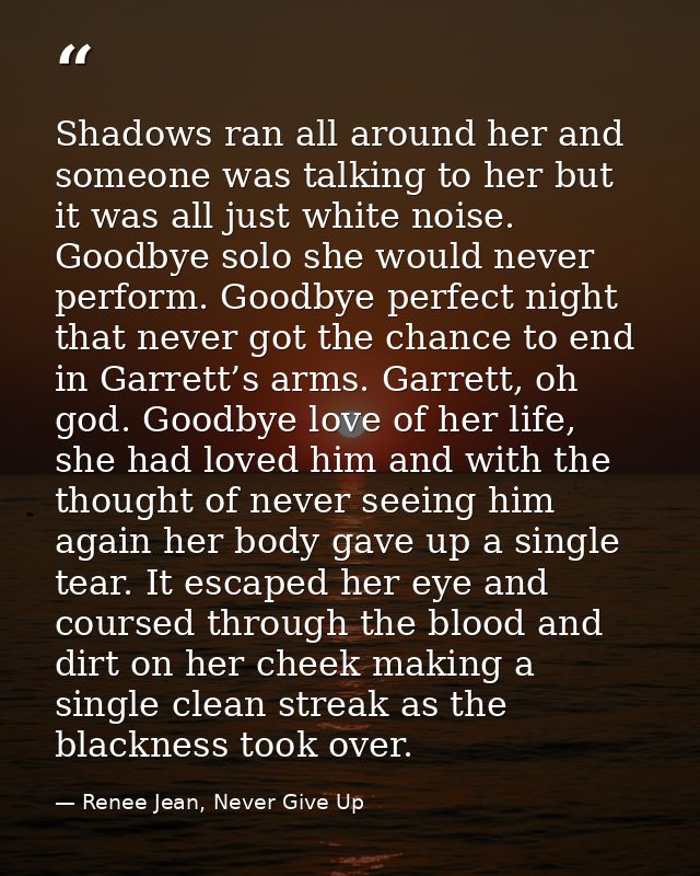 Shadows ran all around her and someone was talking to her but it was all just white noise. Goodbye solo she would never  — Renee Jean, Never Give Up