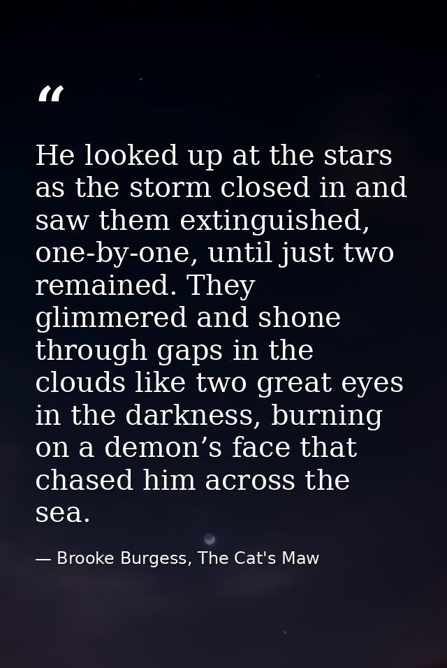 He looked up at the stars as the storm closed in and saw them extinguished, one-by-one, until just two remained. They gl — Brooke Burgess, The Cat's Maw