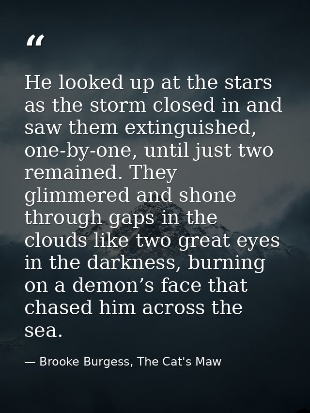 He looked up at the stars as the storm closed in and saw them extinguished, one-by-one, until just two remained. They gl — Brooke Burgess, The Cat's Maw