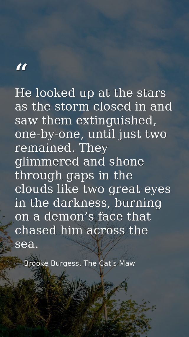 He looked up at the stars as the storm closed in and saw them extinguished, one-by-one, until just two remained. They gl — Brooke Burgess, The Cat's Maw