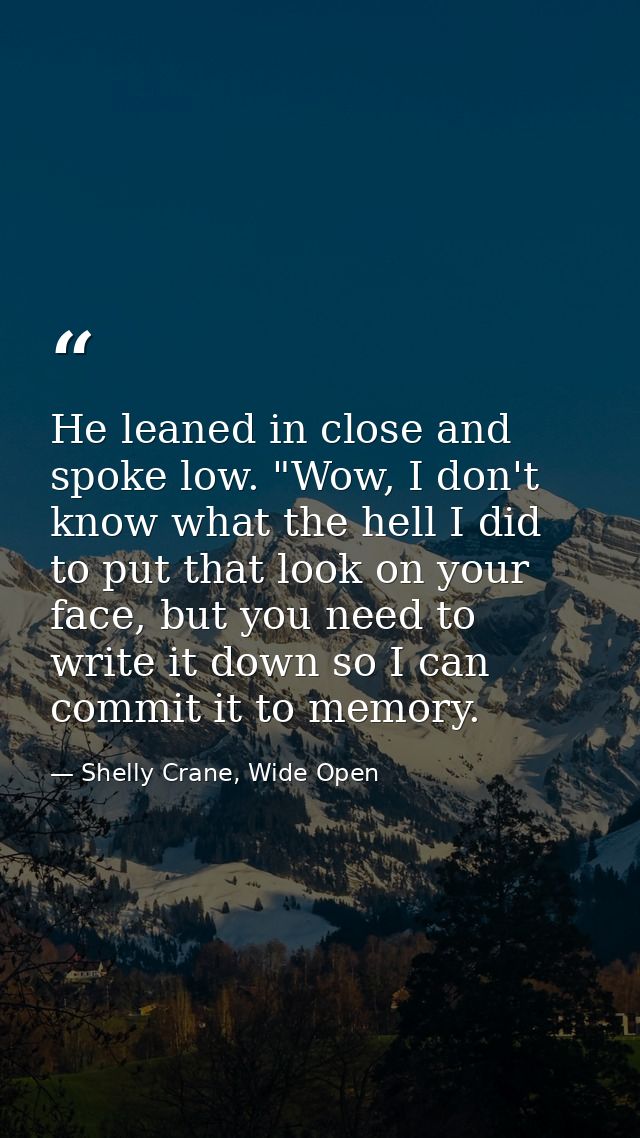 He leaned in close and spoke low. "Wow, I don't know what the hell I did to put that look on your face, but you need to  — Shelly Crane, Wide Open