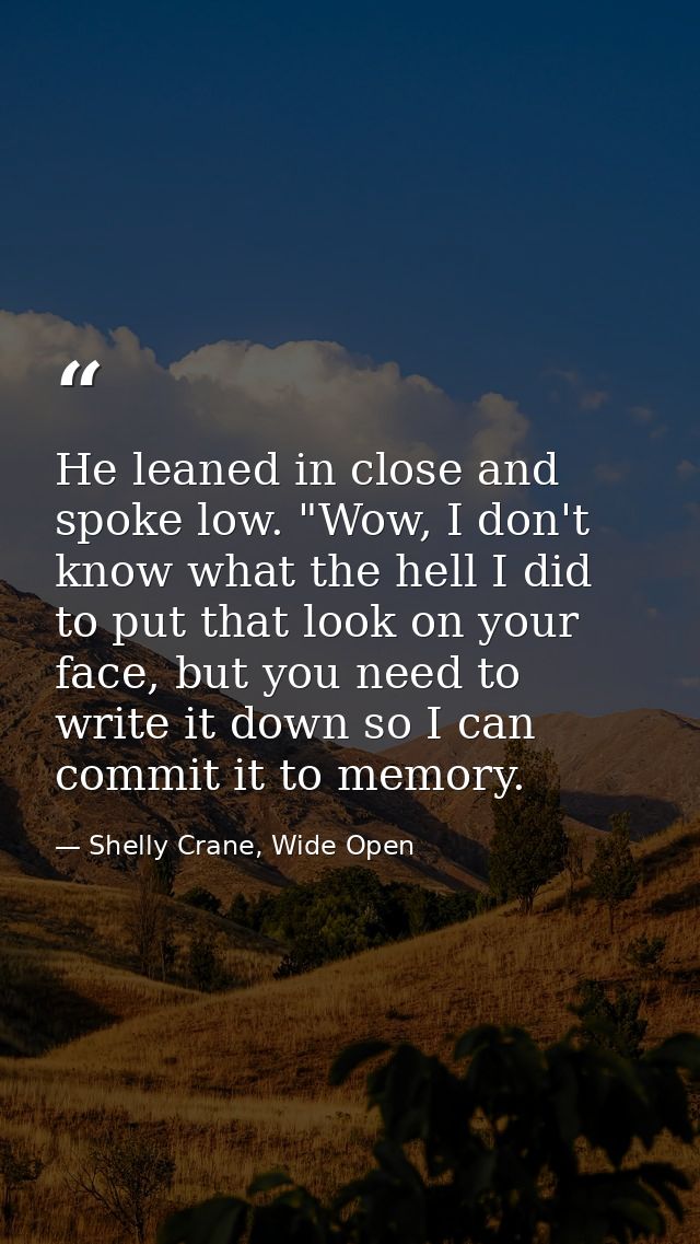 He leaned in close and spoke low. "Wow, I don't know what the hell I did to put that look on your face, but you need to  — Shelly Crane, Wide Open