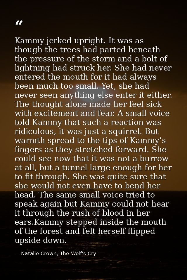 Kammy jerked upright. It was as though the trees had parted beneath the pressure of the storm and a bolt of lightning ha — Natalie Crown, The Wolf's Cry
