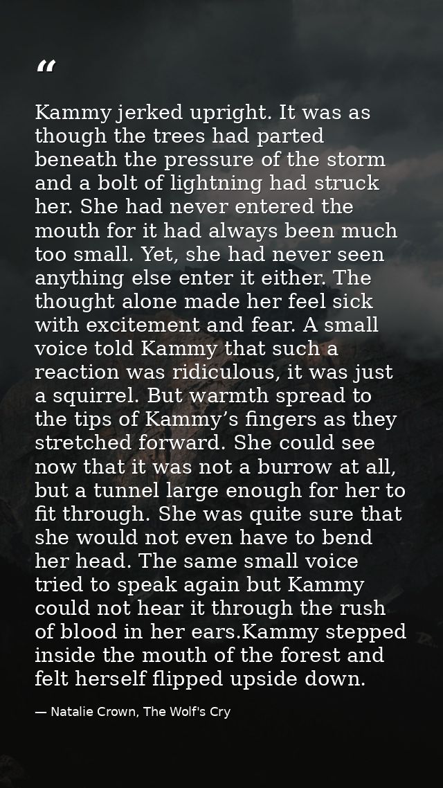 Kammy jerked upright. It was as though the trees had parted beneath the pressure of the storm and a bolt of lightning ha — Natalie Crown, The Wolf's Cry