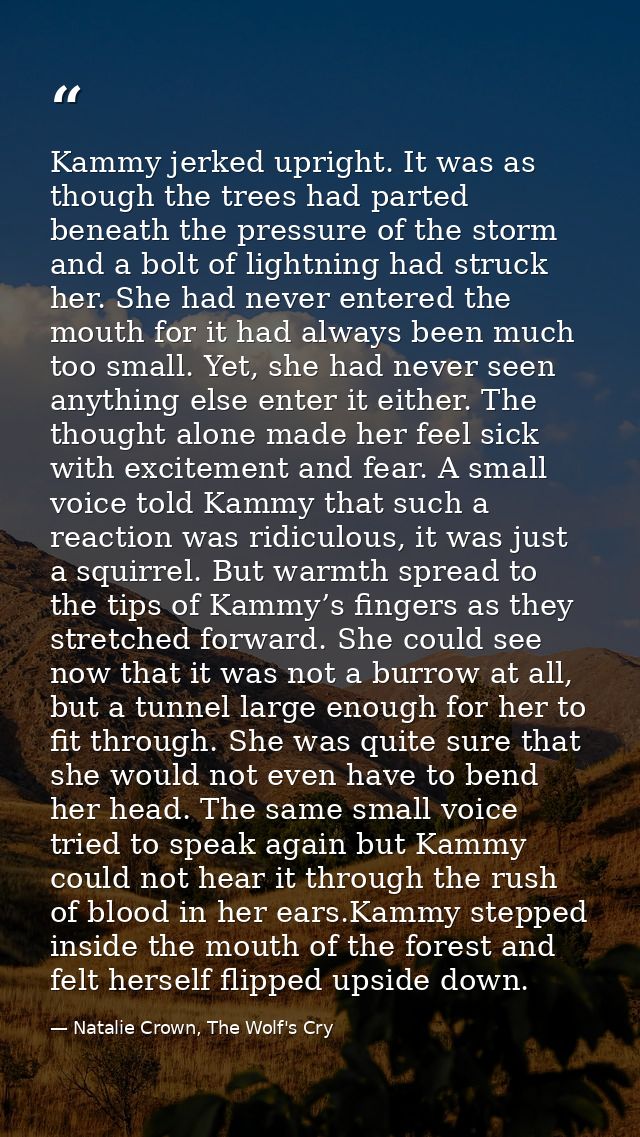 Kammy jerked upright. It was as though the trees had parted beneath the pressure of the storm and a bolt of lightning ha — Natalie Crown, The Wolf's Cry