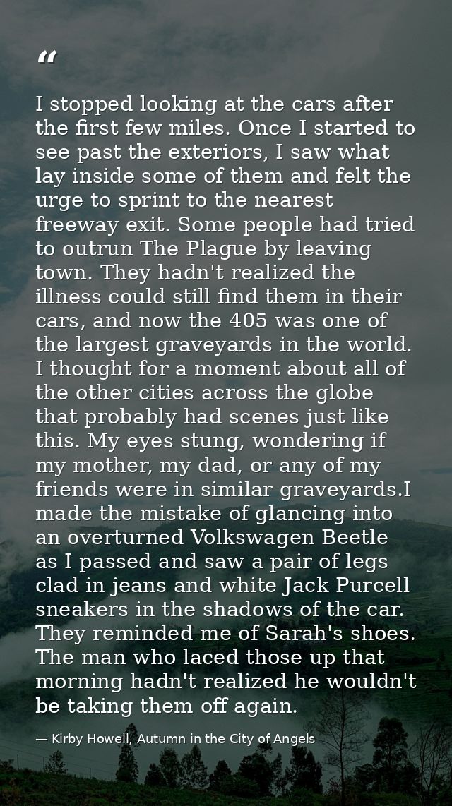 I stopped looking at the cars after the first few miles. Once I started to see past the exteriors, I saw what lay inside — Kirby Howell, Autumn in the City of Angels