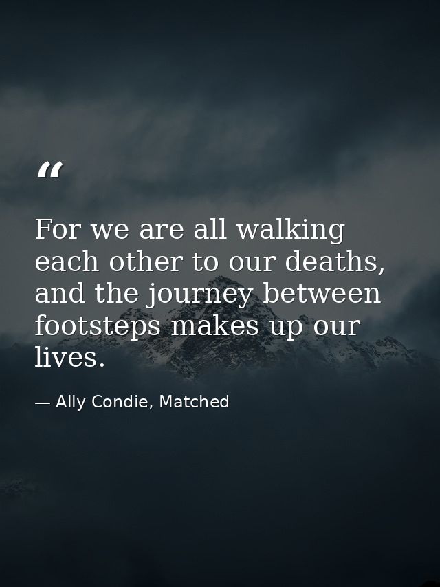 For we are all walking each other to our deaths, and the journey between footsteps makes up our lives. — Ally Condie, Matched