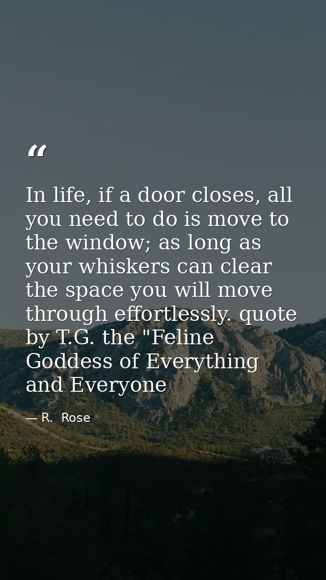 In life, if a door closes, all you need to do is move to the window; as long as your whiskers can clear the space you wi — R.  Rose