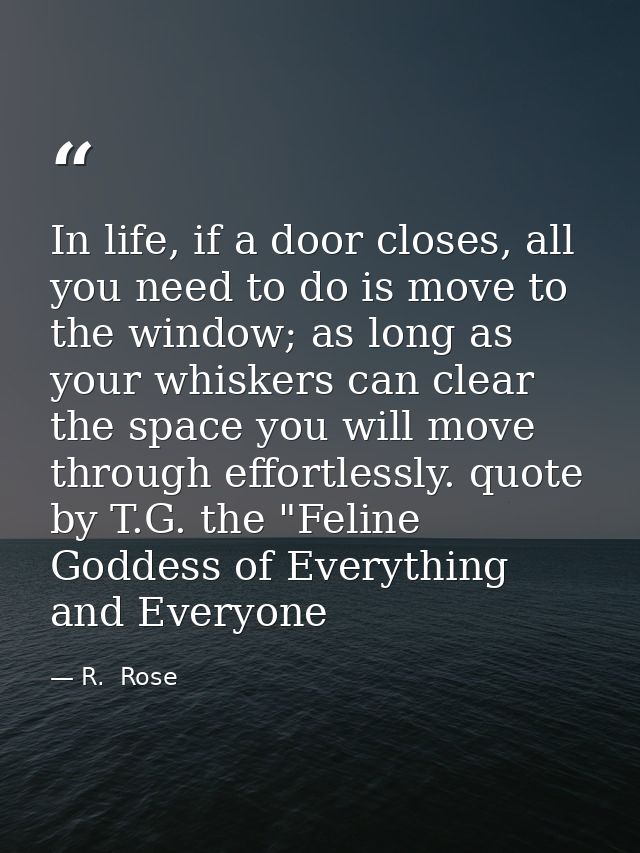 In life, if a door closes, all you need to do is move to the window; as long as your whiskers can clear the space you wi — R.  Rose