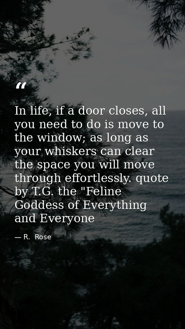 In life, if a door closes, all you need to do is move to the window; as long as your whiskers can clear the space you wi — R.  Rose