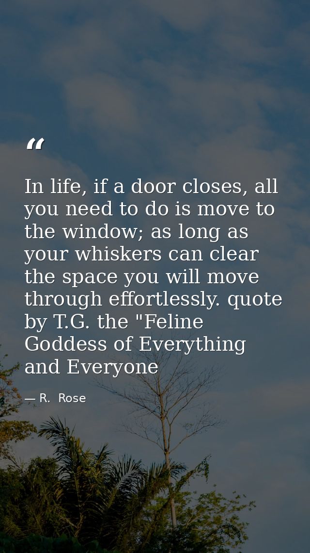 In life, if a door closes, all you need to do is move to the window; as long as your whiskers can clear the space you wi — R.  Rose