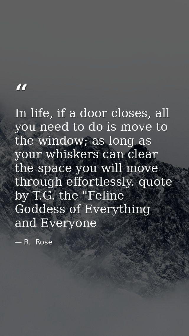 In life, if a door closes, all you need to do is move to the window; as long as your whiskers can clear the space you wi — R.  Rose