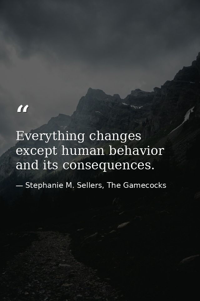 Everything changes except human behavior and its consequences. — Stephanie M. Sellers, The Gamecocks