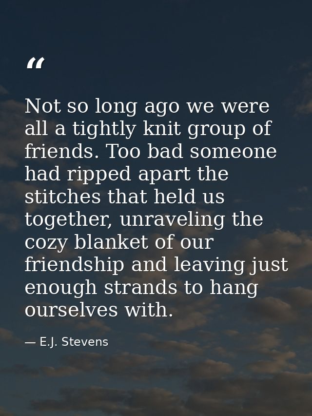 Not so long ago we were all a tightly knit group of friends. Too bad someone had ripped apart the stitches that held us  — E.J. Stevens