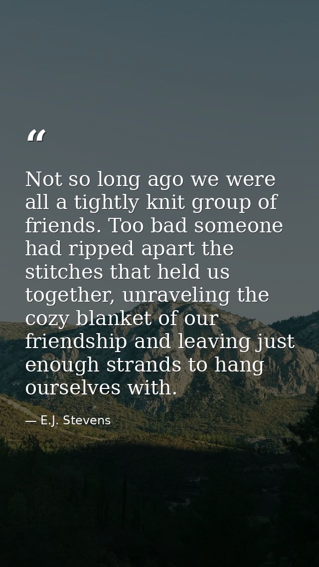 Not so long ago we were all a tightly knit group of friends. Too bad someone had ripped apart the stitches that held us  — E.J. Stevens