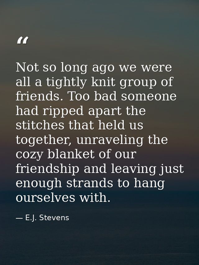 Not so long ago we were all a tightly knit group of friends. Too bad someone had ripped apart the stitches that held us  — E.J. Stevens