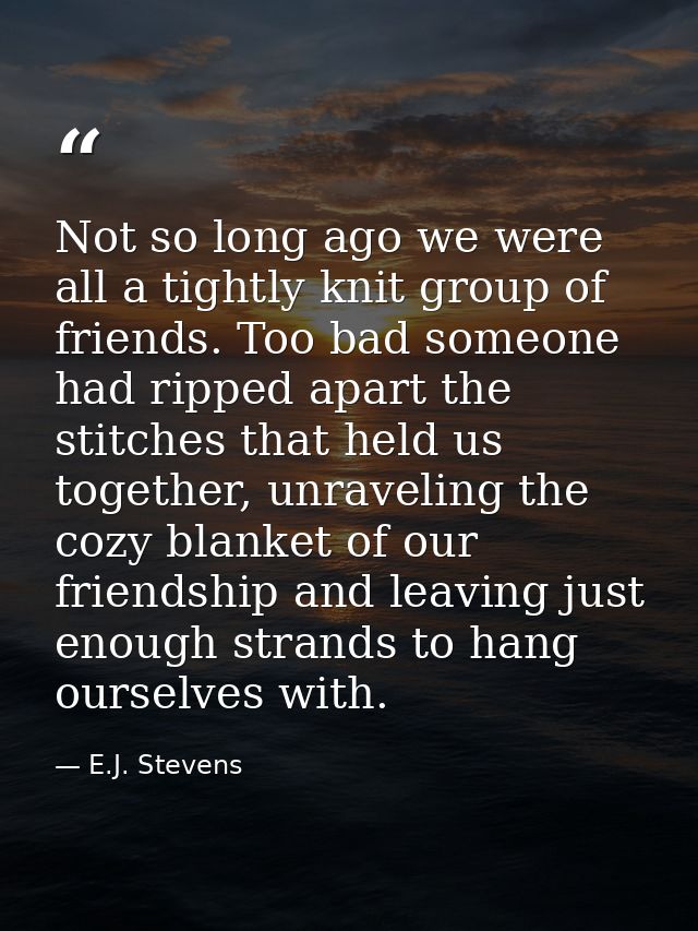 Not so long ago we were all a tightly knit group of friends. Too bad someone had ripped apart the stitches that held us  — E.J. Stevens