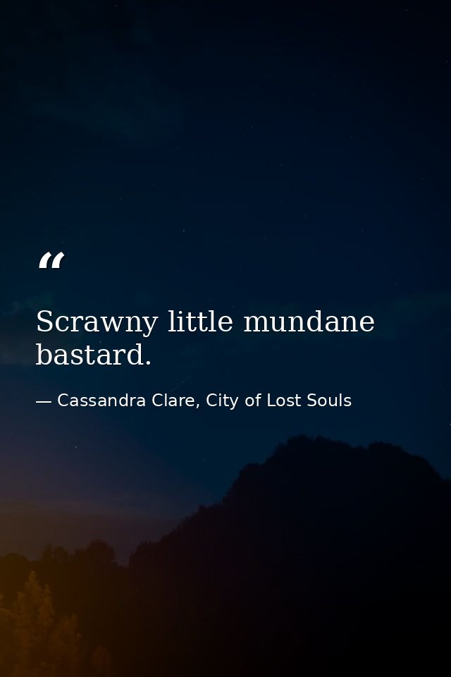 Scrawny little mundane bastard. — Cassandra Clare, City of Lost Souls