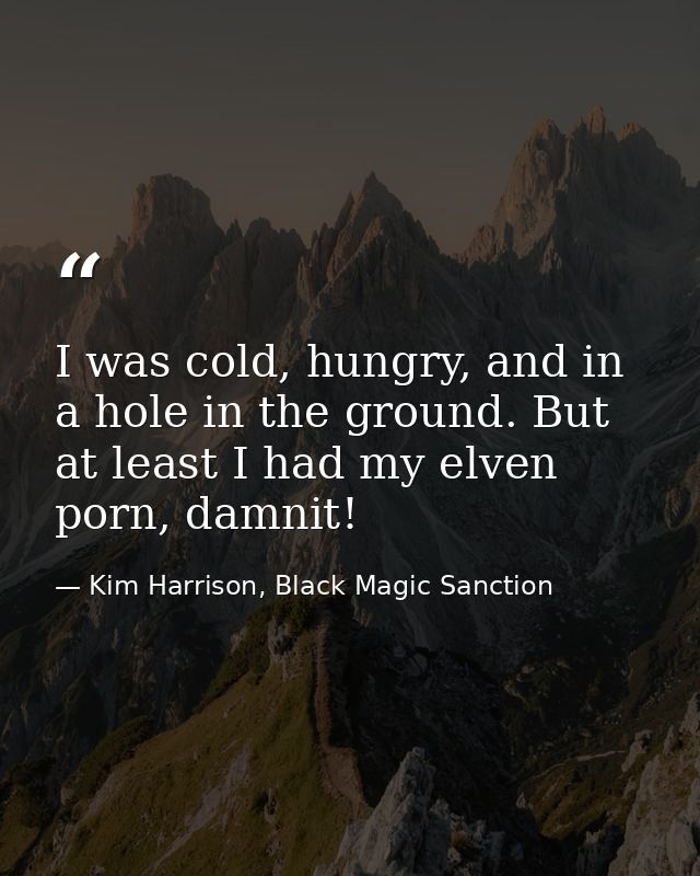 I was cold, hungry, and in a hole in the ground. But at least I had my elven porn, damnit! — Kim Harrison, Black Magic Sanction