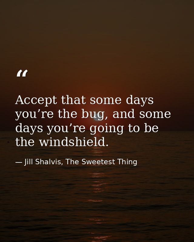 Accept that some days you’re the bug, and some days you’re going to be the windshield. — Jill Shalvis, The Sweetest Thing