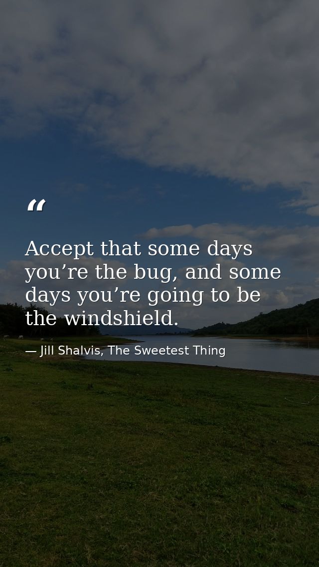 Accept that some days you’re the bug, and some days you’re going to be the windshield. — Jill Shalvis, The Sweetest Thing