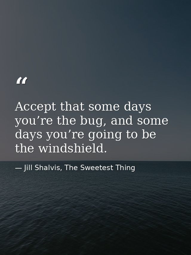 Accept that some days you’re the bug, and some days you’re going to be the windshield. — Jill Shalvis, The Sweetest Thing