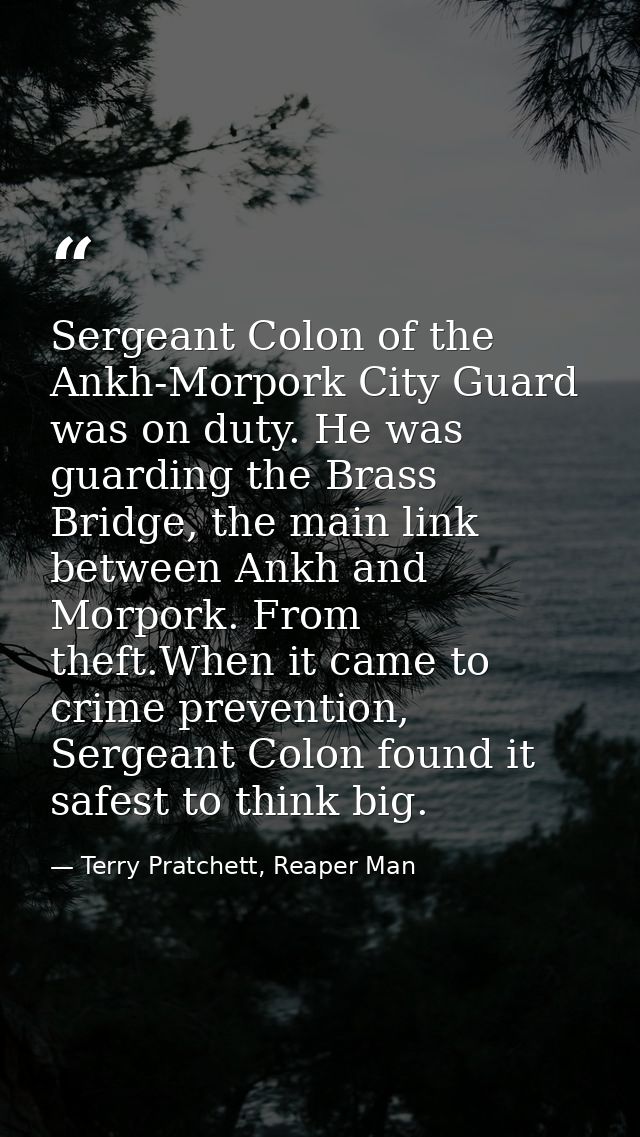 Sergeant Colon of the Ankh-Morpork City Guard was on duty. He was guarding the Brass Bridge, the main link between Ankh  — Terry Pratchett, Reaper Man