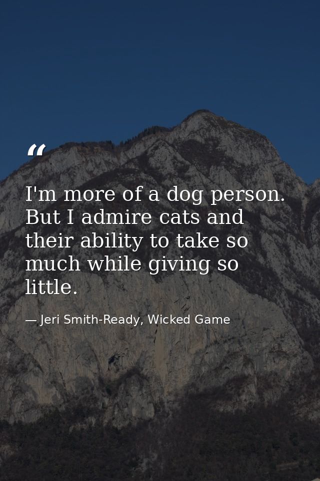 I'm more of a dog person. But I admire cats and their ability to take so much while giving so little. — Jeri Smith-Ready, Wicked Game