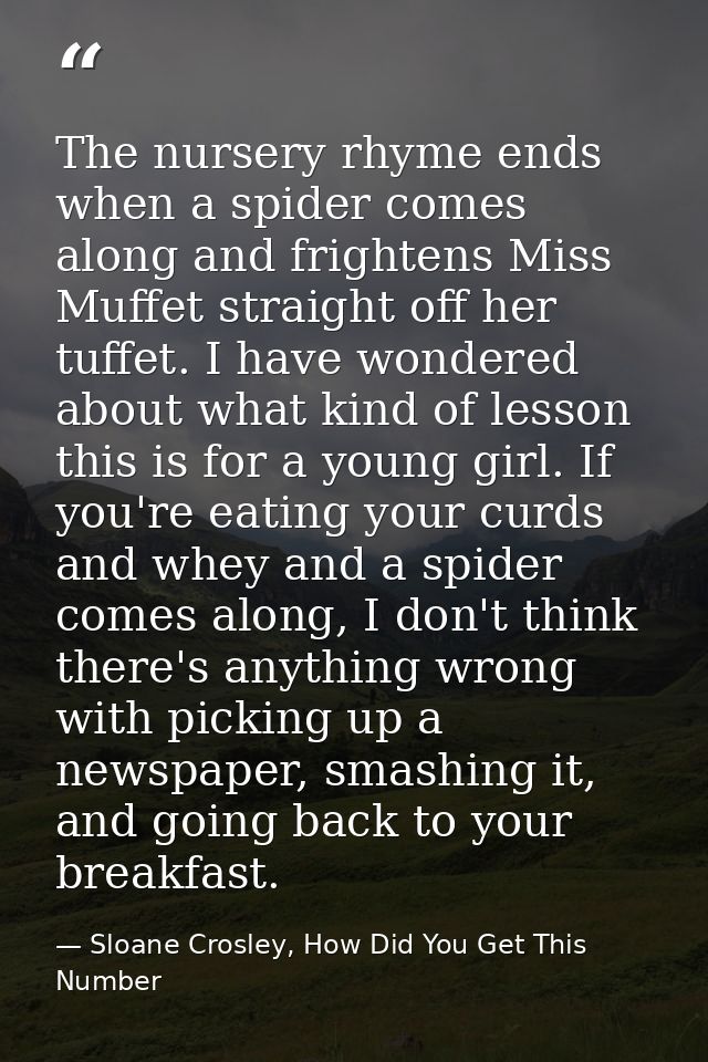 The nursery rhyme ends when a spider comes along and frightens Miss Muffet straight off her tuffet. I have wondered abou — Sloane Crosley, How Did You Get This Number