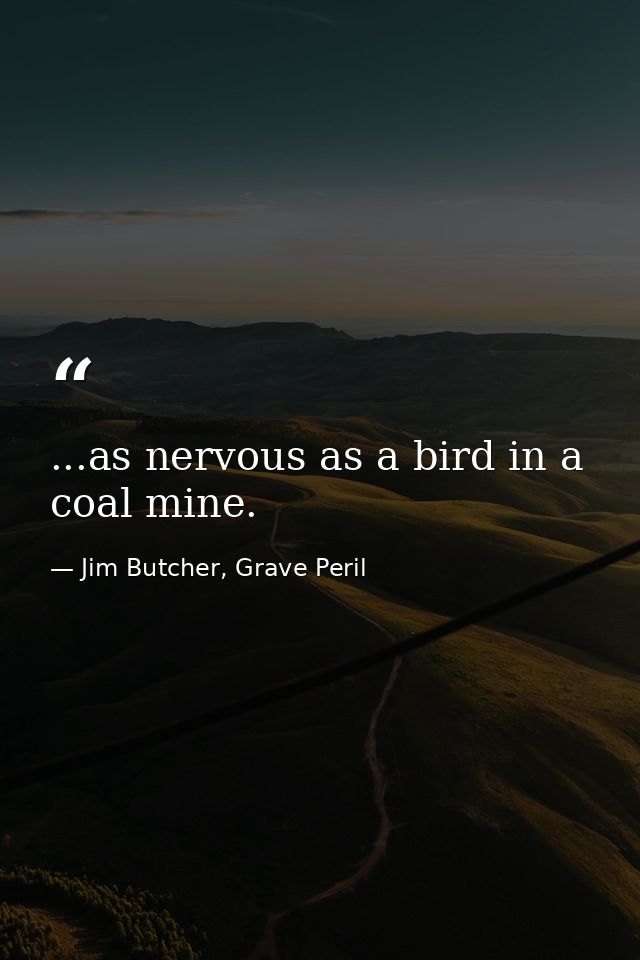 ...as nervous as a bird in a coal mine. — Jim Butcher, Grave Peril