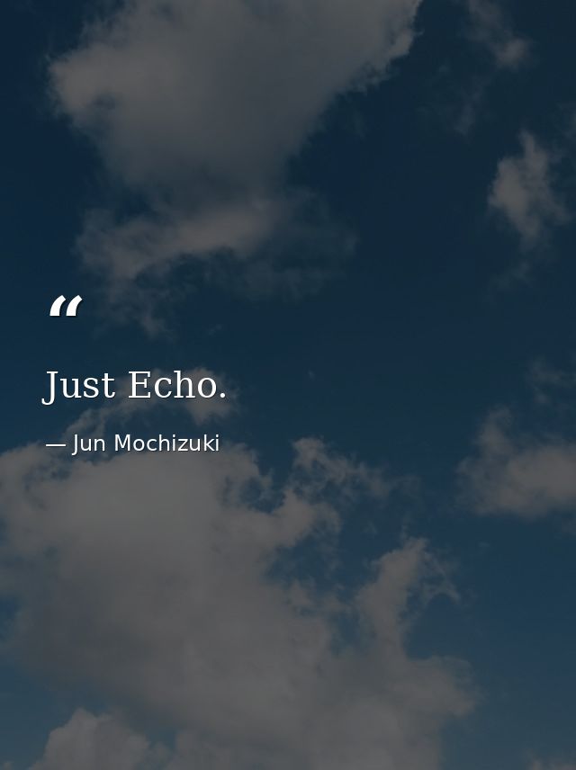 Just Echo. — Jun Mochizuki