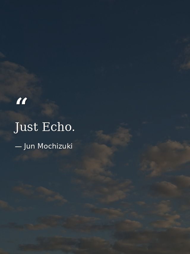 Just Echo. — Jun Mochizuki