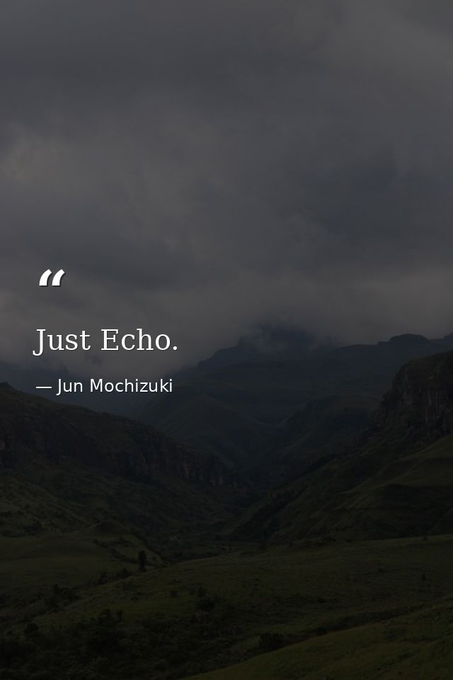 Just Echo. — Jun Mochizuki