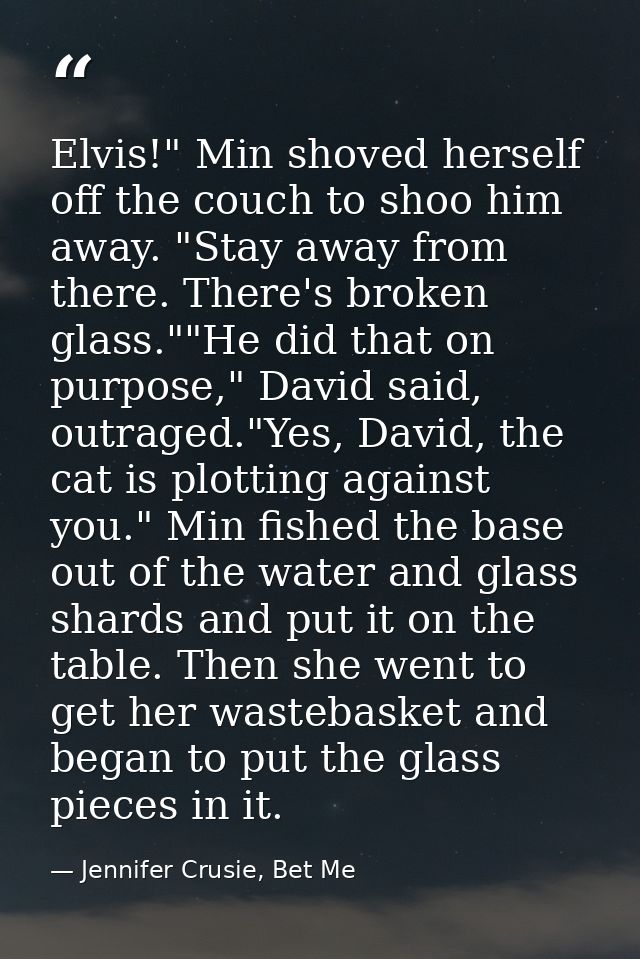 Elvis!" Min shoved herself off the couch to shoo him away. "Stay away from there. There's broken glass.""He did that on  — Jennifer Crusie, Bet Me