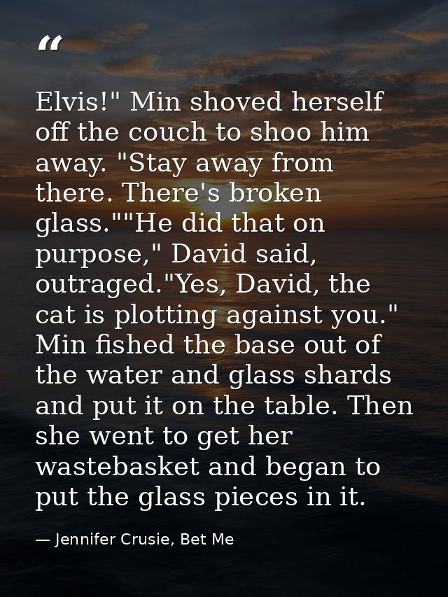 Elvis!" Min shoved herself off the couch to shoo him away. "Stay away from there. There's broken glass.""He did that on  — Jennifer Crusie, Bet Me
