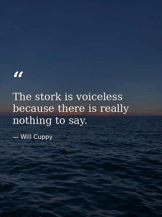 The stork is voiceless because there is really nothing to say. — Will Cuppy