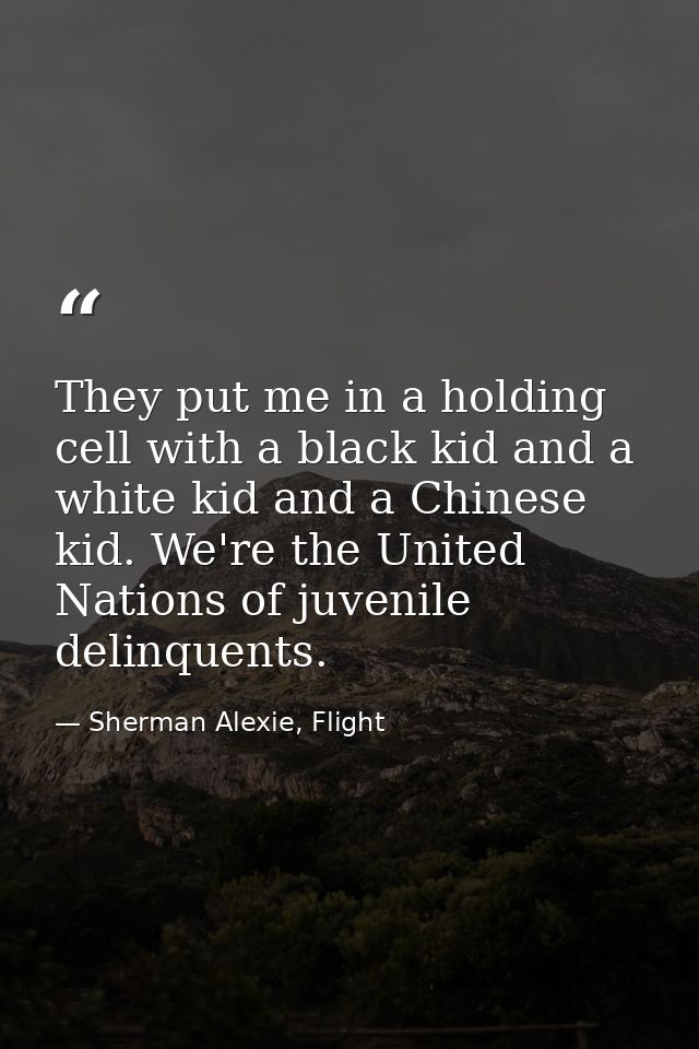 They put me in a holding cell with a black kid and a white kid and a Chinese kid. We're the United Nations of juvenile d — Sherman Alexie, Flight