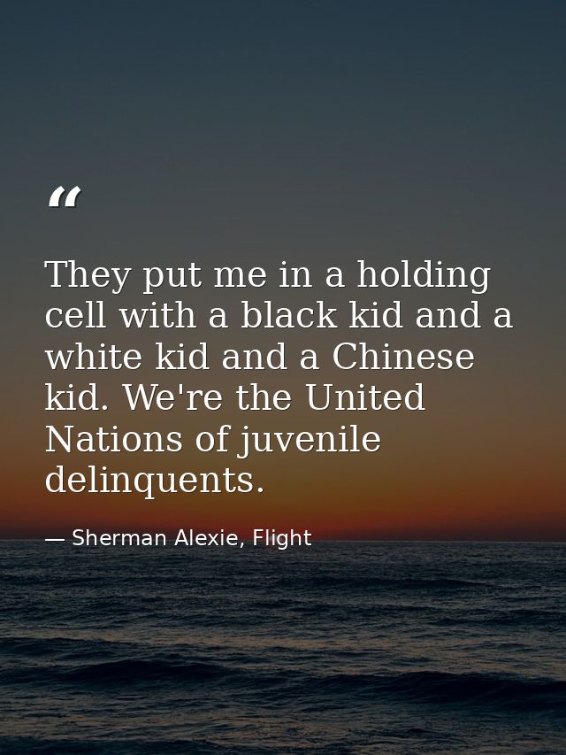They put me in a holding cell with a black kid and a white kid and a Chinese kid. We're the United Nations of juvenile d — Sherman Alexie, Flight