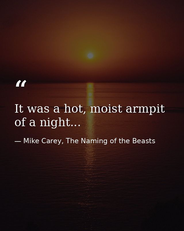It was a hot, moist armpit of a night... — Mike Carey, The Naming of the Beasts