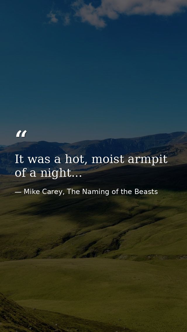 It was a hot, moist armpit of a night... — Mike Carey, The Naming of the Beasts