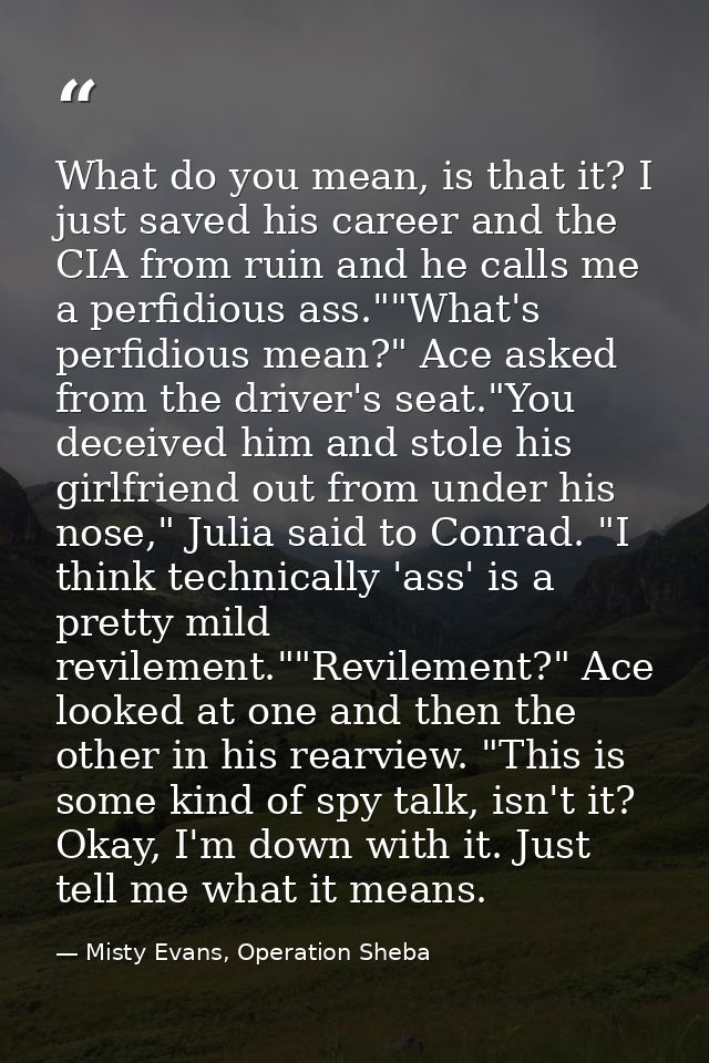 What do you mean, is that it? I just saved his career and the CIA from ruin and he calls me a perfidious ass.""What's pe — Misty Evans, Operation Sheba
