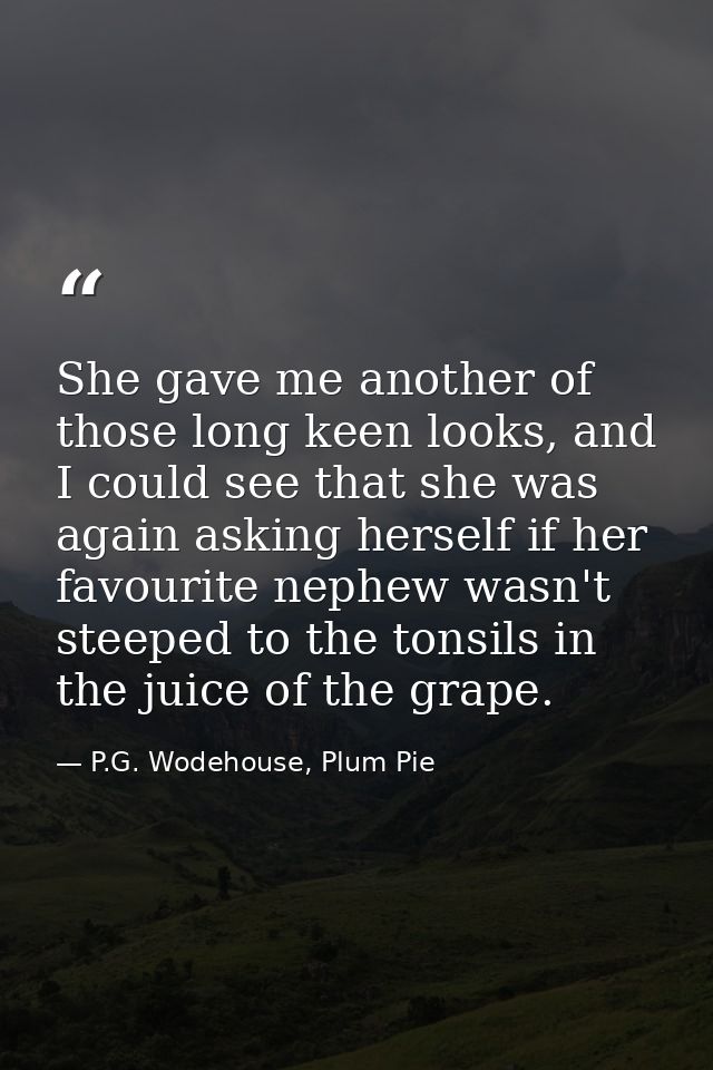She gave me another of those long keen looks, and I could see that she was again asking herself if her favourite nephew  — P.G. Wodehouse, Plum Pie