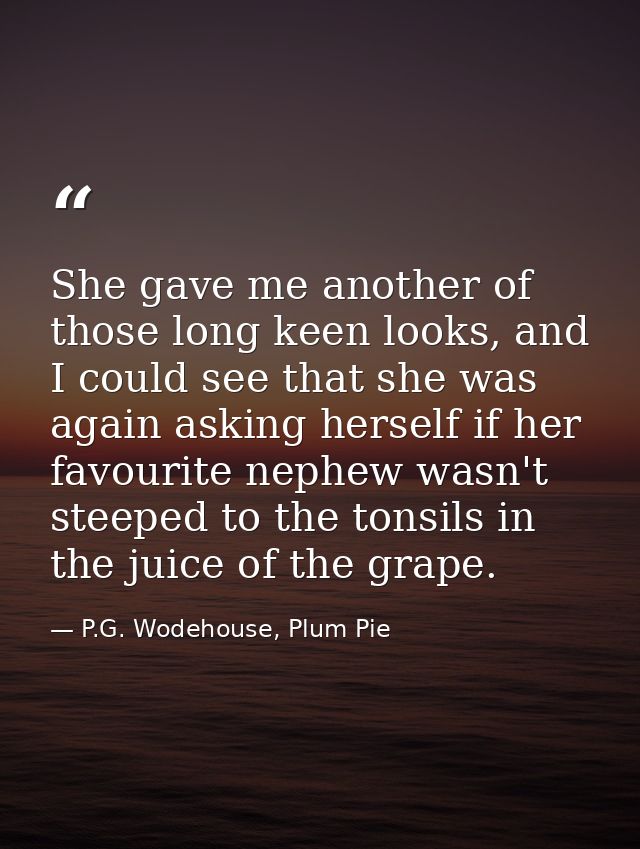 She gave me another of those long keen looks, and I could see that she was again asking herself if her favourite nephew  — P.G. Wodehouse, Plum Pie