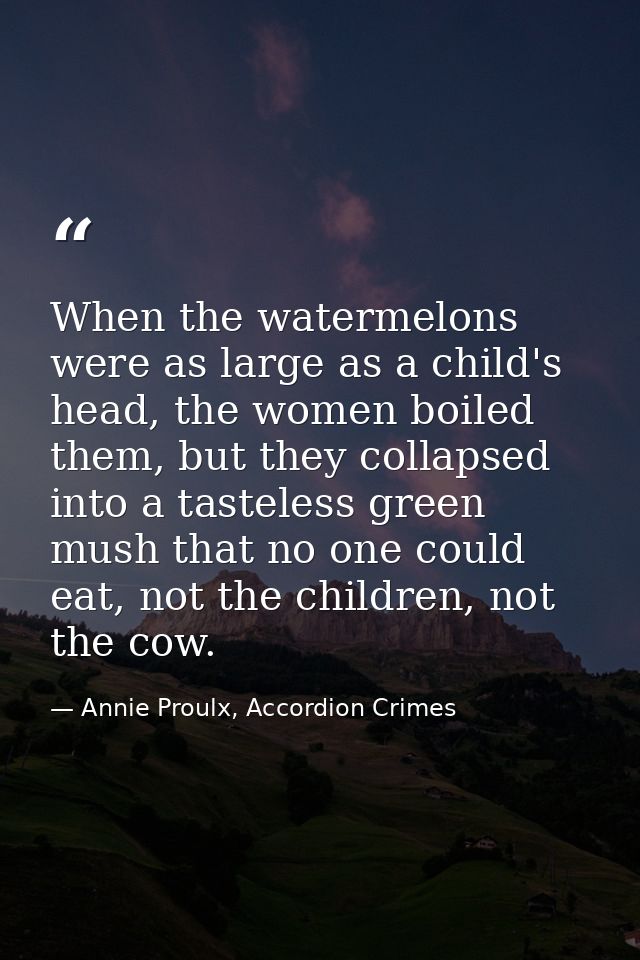When the watermelons were as large as a child's head, the women boiled them, but they collapsed into a tasteless green m — Annie Proulx, Accordion Crimes